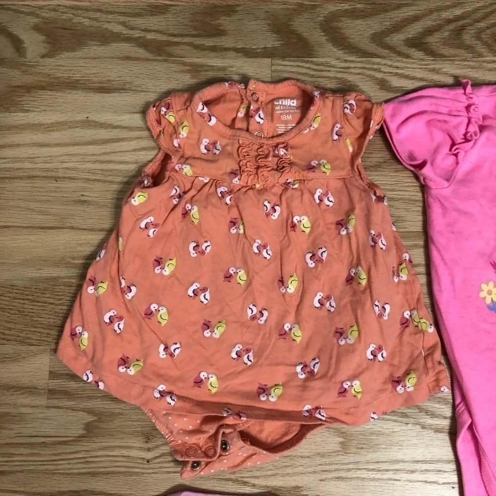 18 month Girls Bundle Tops Onesies Mixed Brands Carter’s